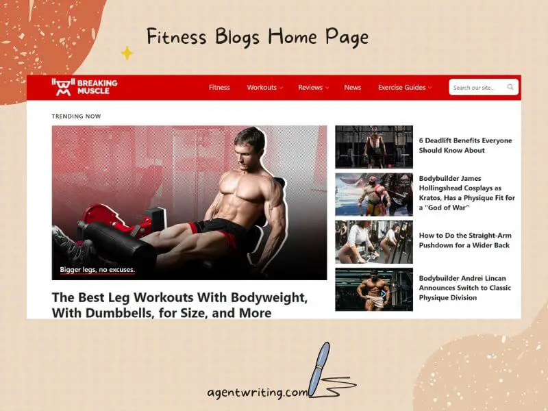 Fig 10 -  Fitness Blogs