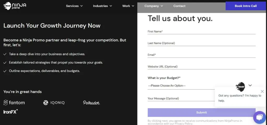 Ninja Promo website copywriting example   