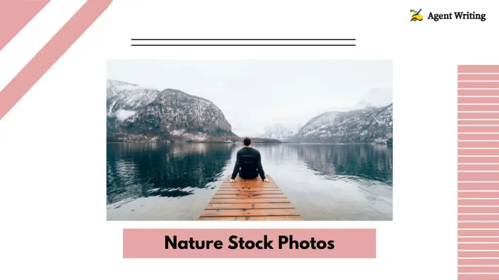 Example of nature stock photos