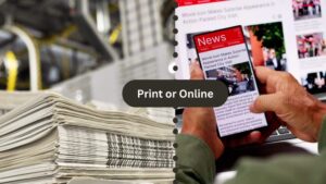 Print or Online Newspaper