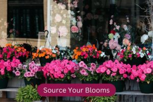 Sourcing Your Blooms